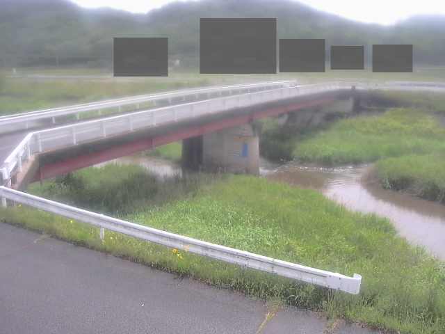 拡大画像