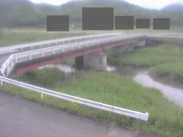 拡大画像