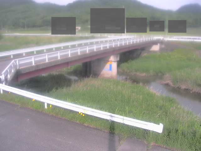 拡大画像