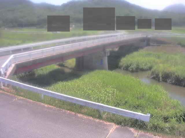 拡大画像