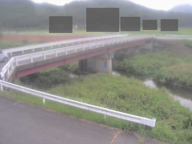 拡大画像