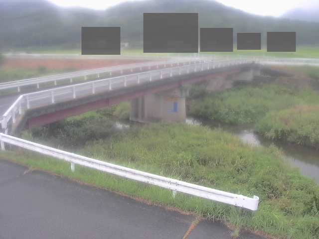 拡大画像