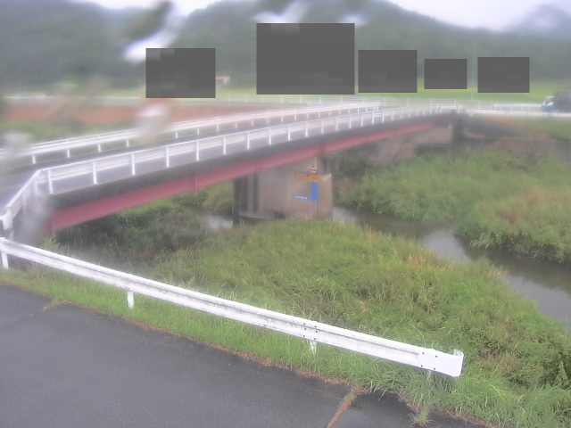 拡大画像