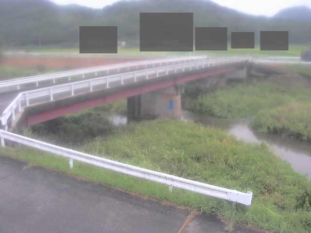 拡大画像