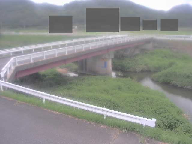 拡大画像