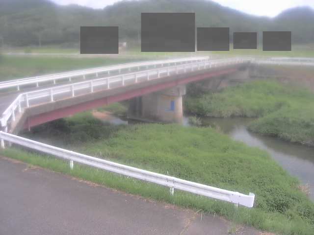 拡大画像