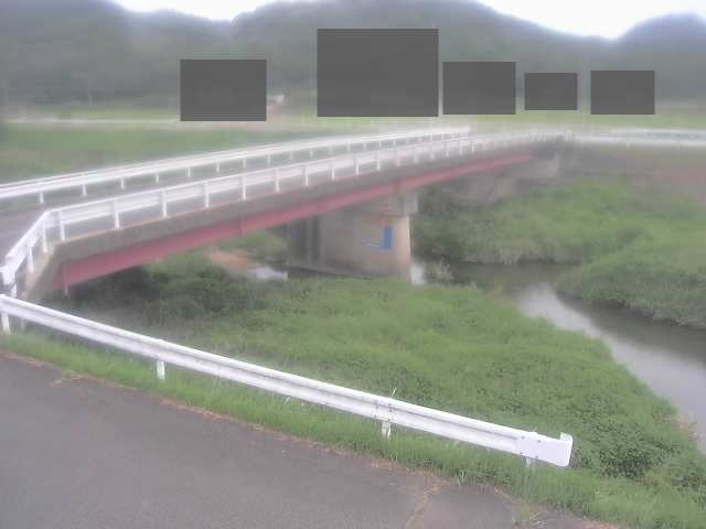 拡大画像