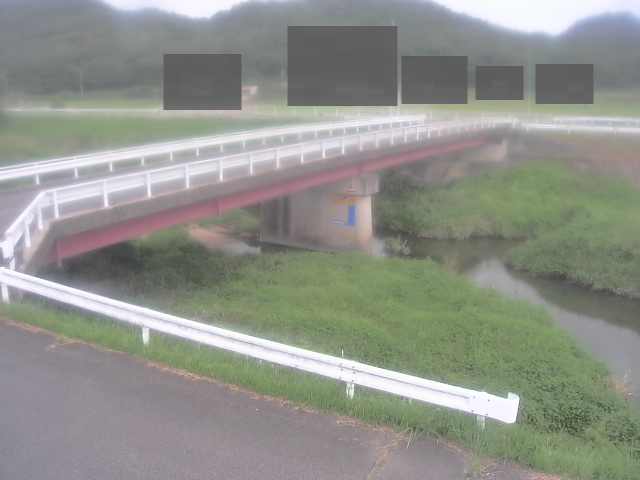 拡大画像