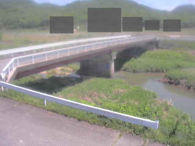 拡大画像