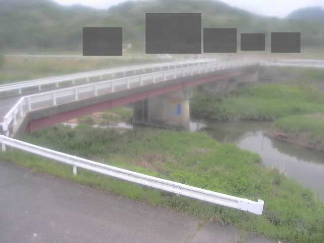 拡大画像