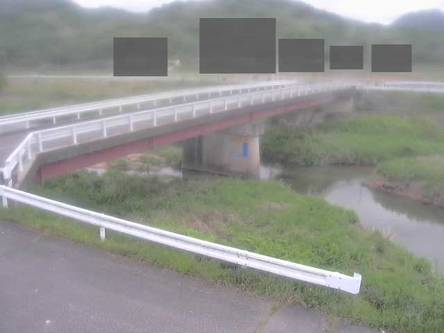拡大画像