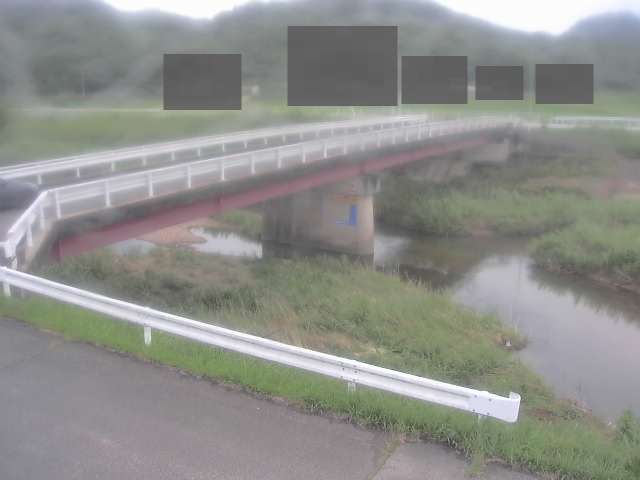 拡大画像