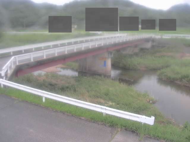 拡大画像
