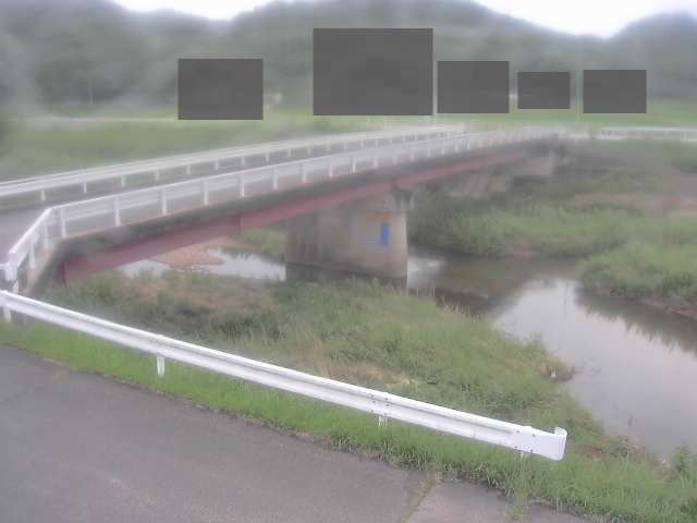 拡大画像