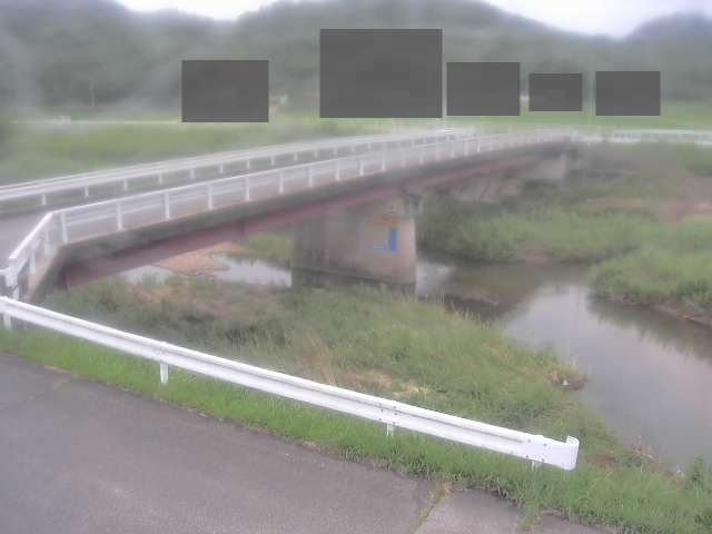 拡大画像