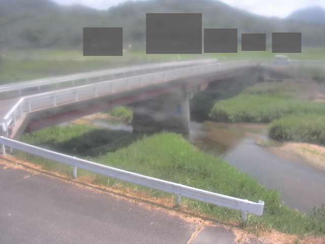 拡大画像