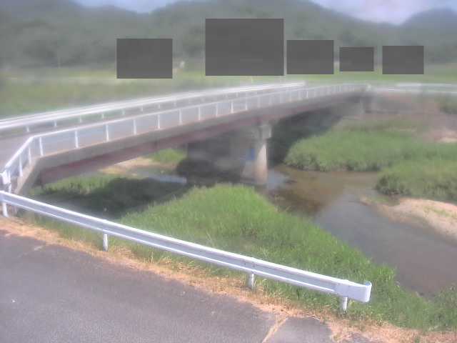 拡大画像