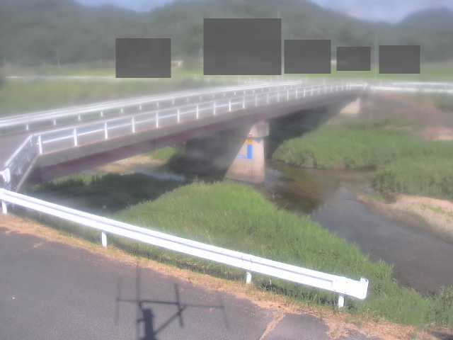 拡大画像