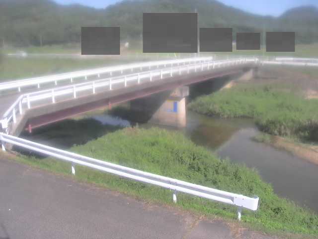 拡大画像