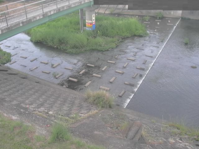 拡大画像