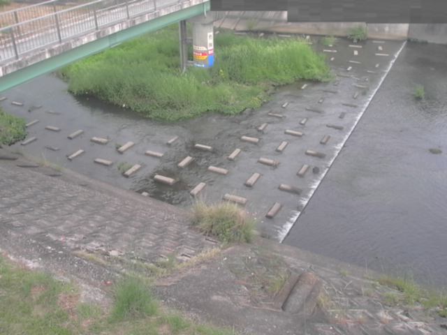 拡大画像