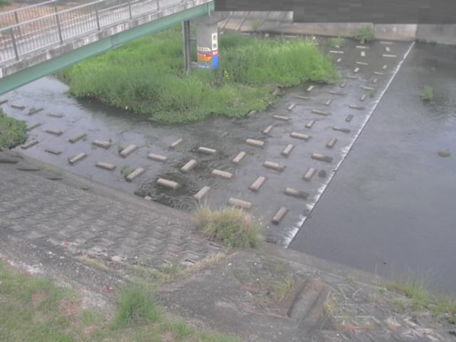 拡大画像
