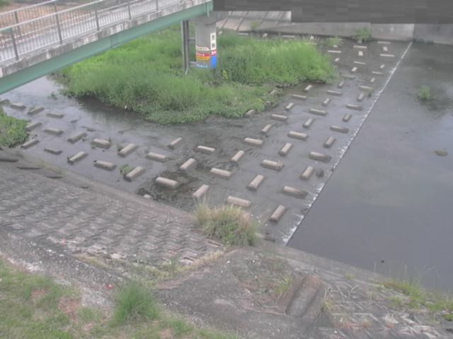 監視画像