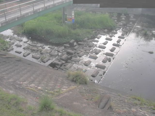 拡大画像