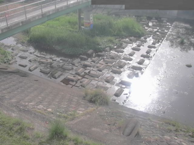 拡大画像