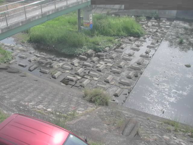 拡大画像