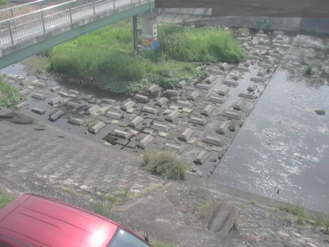 監視画像