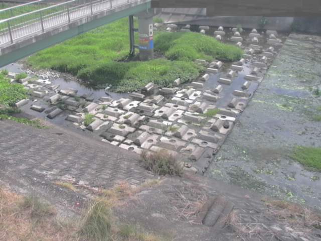 拡大画像