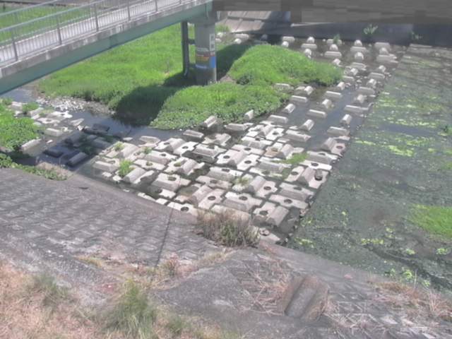 監視画像