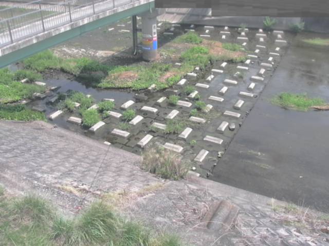 拡大画像