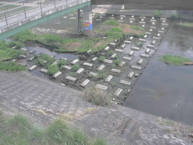 監視画像