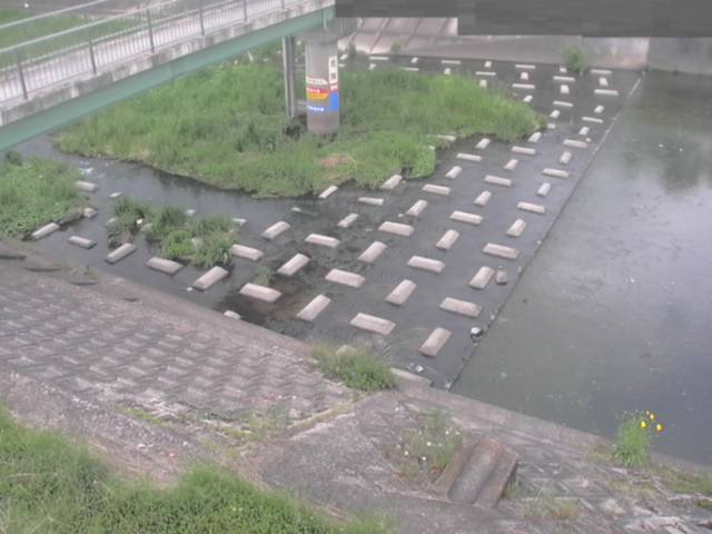 監視画像