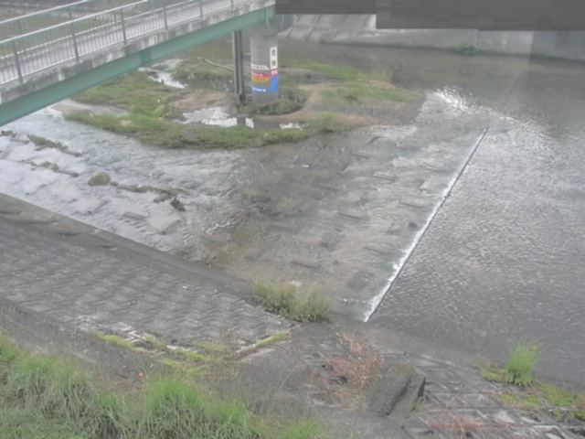 監視画像