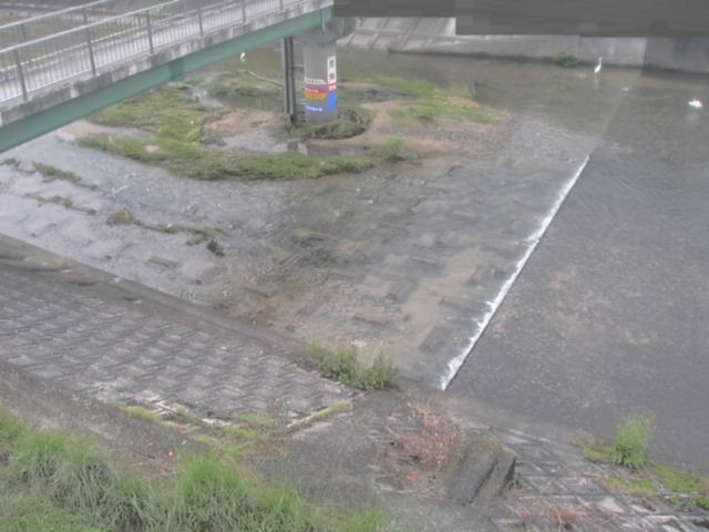 監視画像