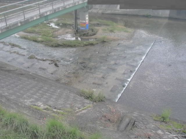 監視画像
