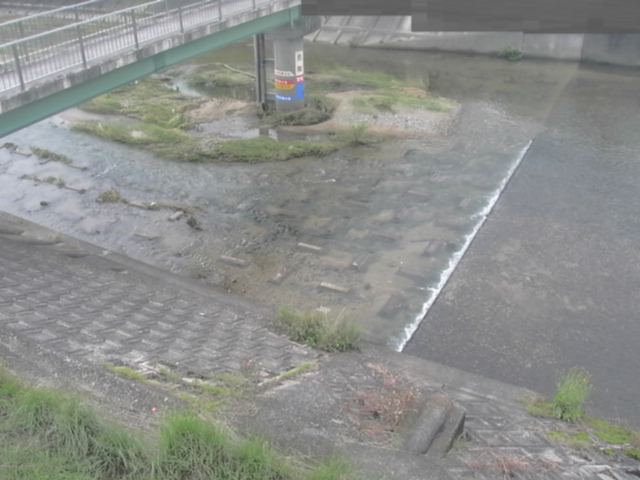 監視画像