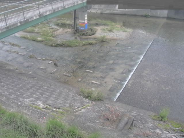 監視画像