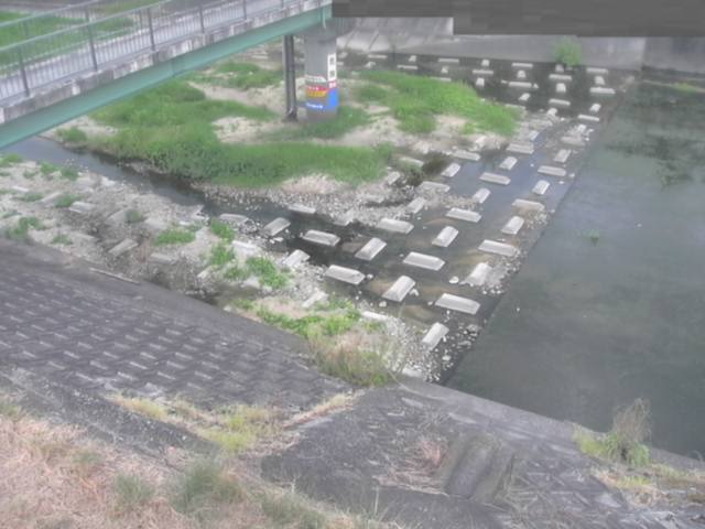 拡大画像