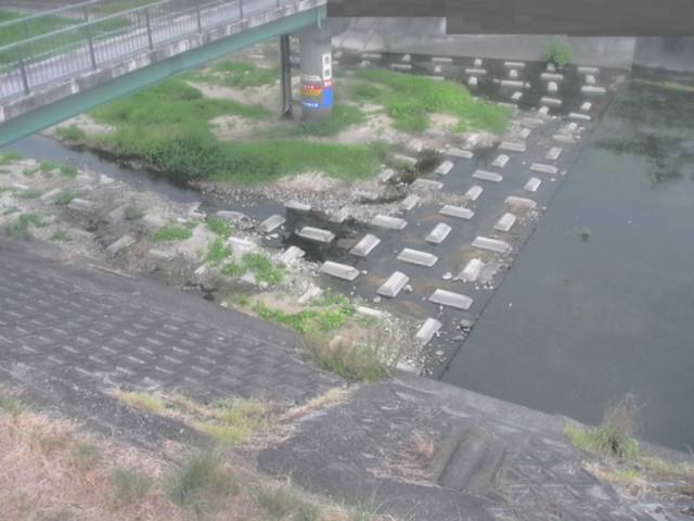 拡大画像