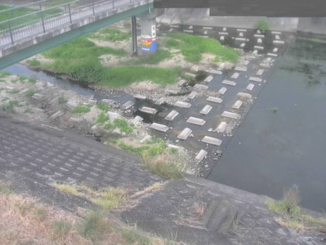 拡大画像