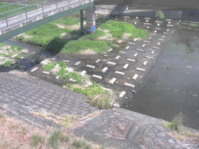 拡大画像