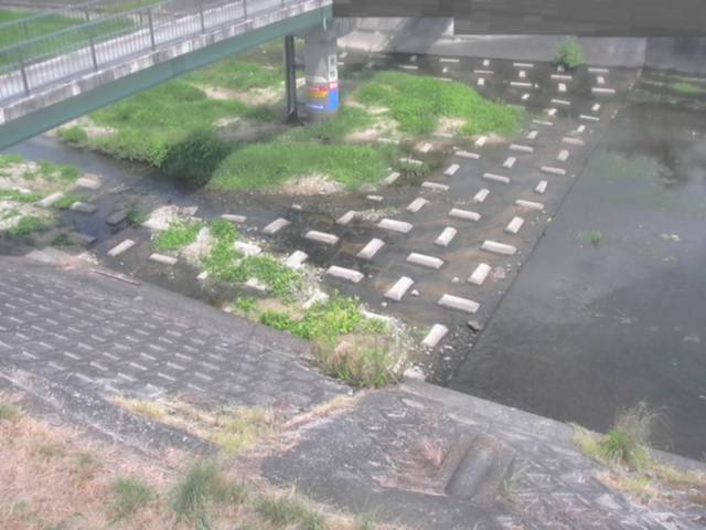 拡大画像