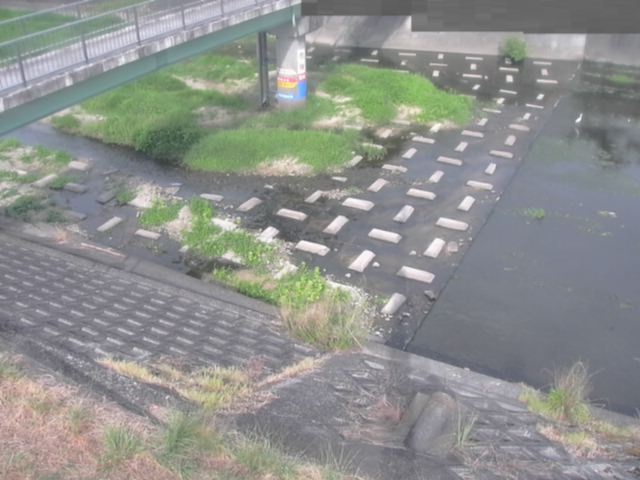 監視画像