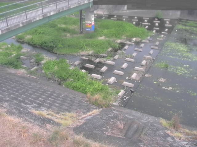監視画像
