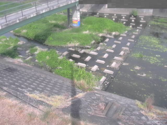 監視画像