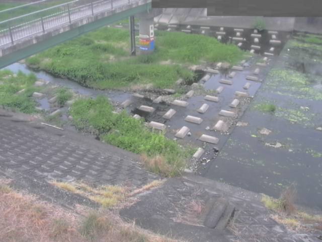監視画像